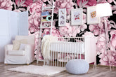 Pink Peonies Flowers with Leaves  Wallpaper